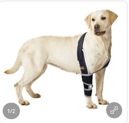 Dog elbow, protector/ brace New