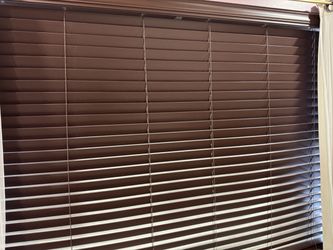 Window shades x2