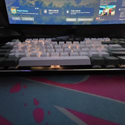 Glorious Gaming GMMK Tkl Keyboard 