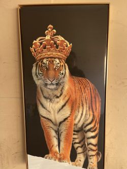 King Tiger Frame