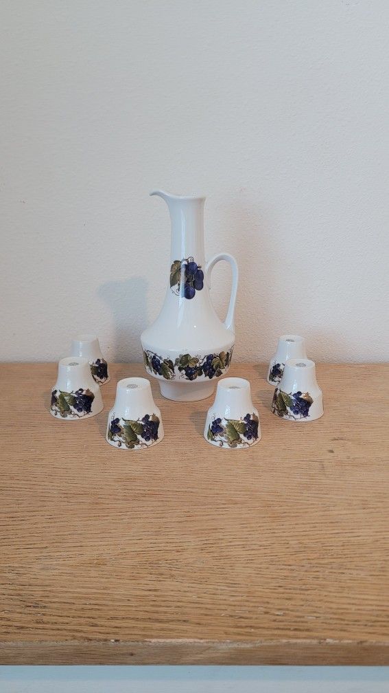 Wine Decanter and 6 Shots Glasses