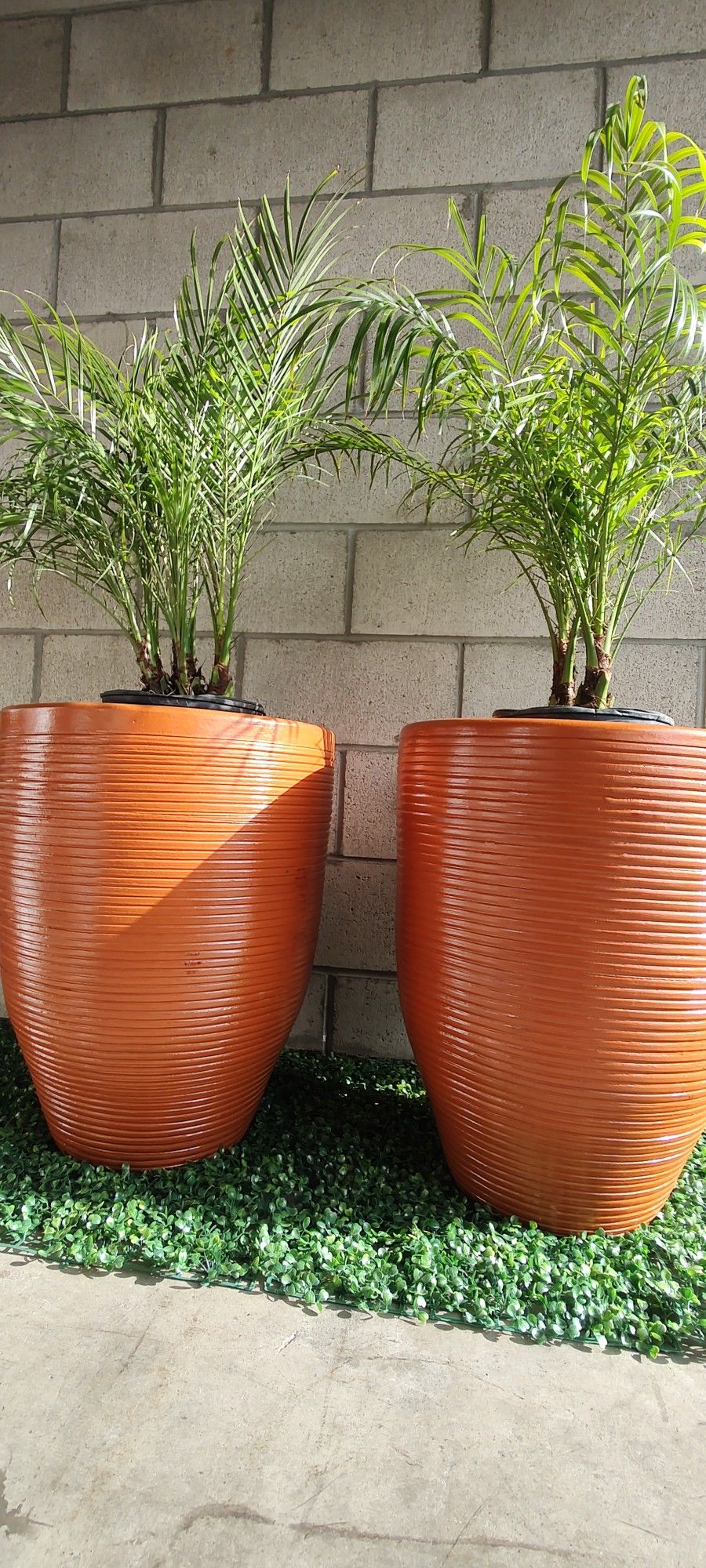 Clay Planters (Free Delivery Around Sd)