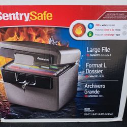 Sentry Safe Large File .65 Cu Ft