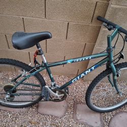 Giant Iguana Mountain Bike