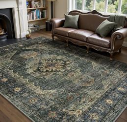 2 5x7  & 1 8x10 area rugs