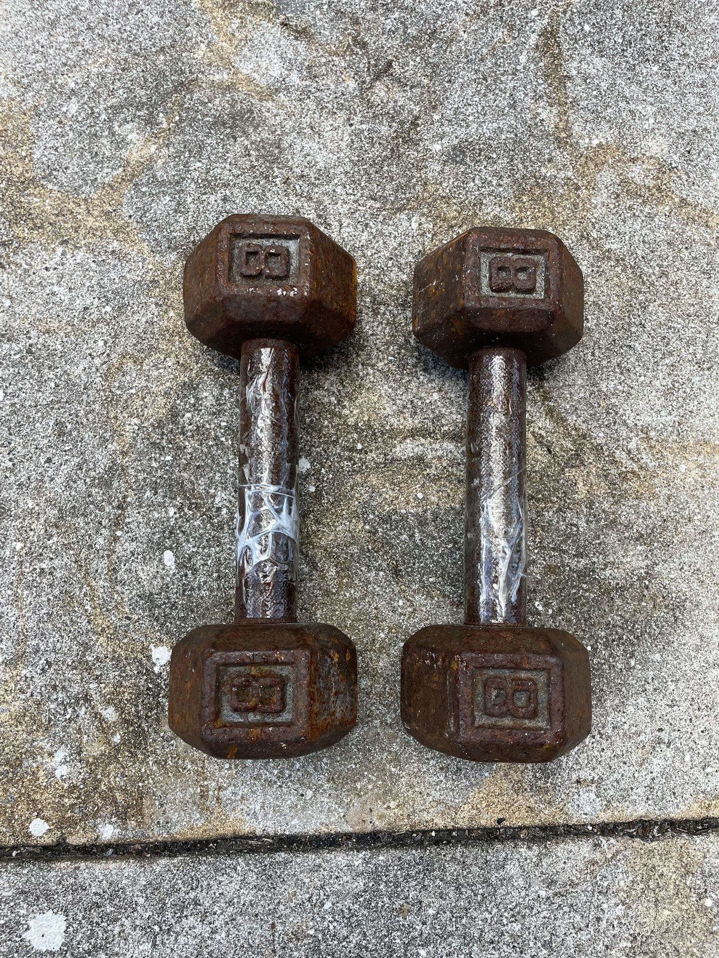 (2) Lot Of 8 Pound Pig Weights