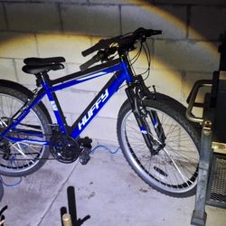 Mountain bike