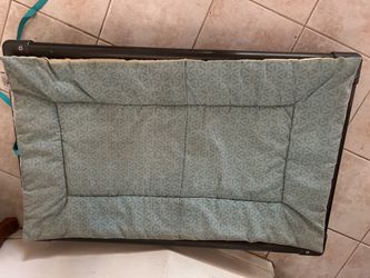 Elevated Dog Bed with Pad