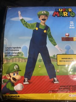 Super Mario Brothers Luigi Costume