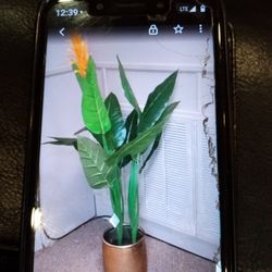 Brand New 3ft Artificial Silk Plant