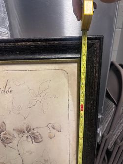 Large Framed Botanical Floral Wall Art