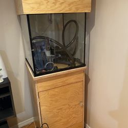 Fish Tank  The Stan 