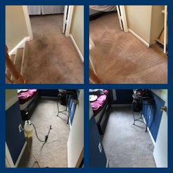 CARPET CLEANING