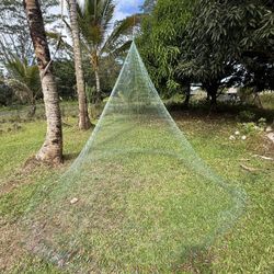 Throw NETS Today And “eyes