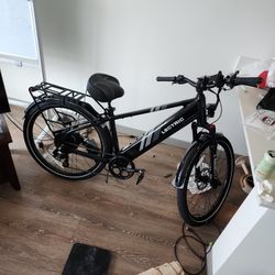 Lectric XPress 750 Like New