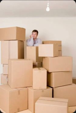I'll Break Down Your Amazon Boxes!