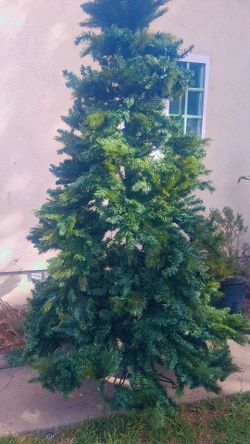 Cristmas Tree