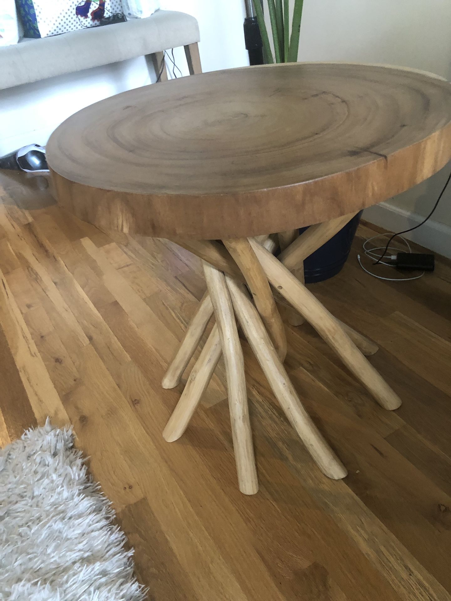 Tree slice coffee side table