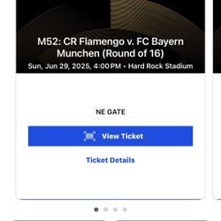 CR Flamengo v. FC Bayern Munchen (Round of 16)