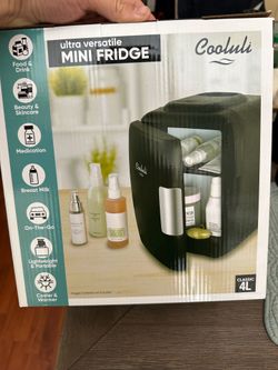 Coolini fridge