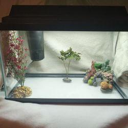 Like New 10 Gallon Fish Tank And Supplies