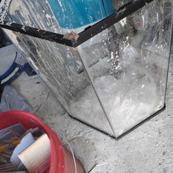 Fish Tank