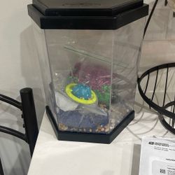 Fish Tank 