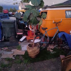 Fig Tree Handcrafted