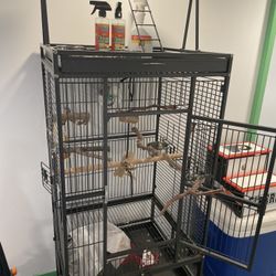 69 inch wrought Iron Parrot Cage, Cover, toys, and perches