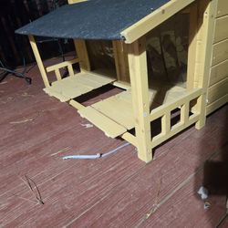 Dog House 