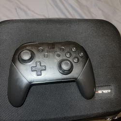 Nintendo Switch Controller 