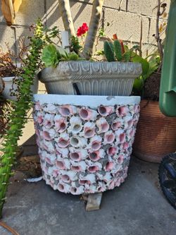 Seashell Planter