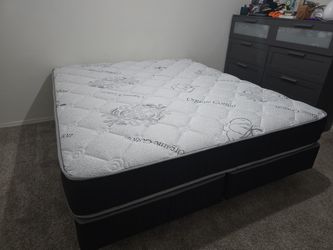 Today's Special Twin 88 Full 159 Queen 179 King 229 California King 229 Same Day Delivery Se Habla Espanol All Sizes Available 