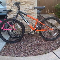 NISHIKI MOUNTAIN BIKE 