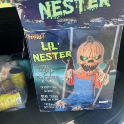 Little Nester