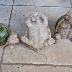 Decorative Turtles