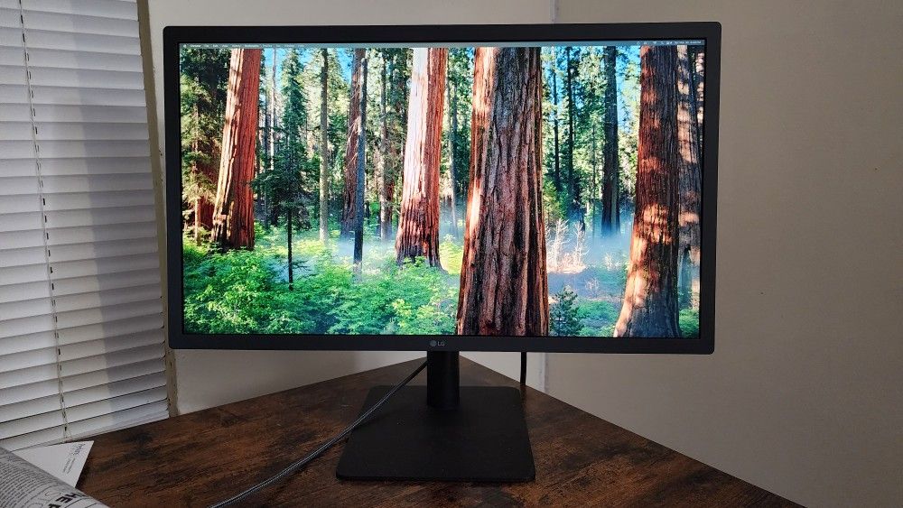 LG UltraFine 24MD4KL-B 4K Monitor