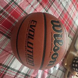 Wilson Evolution Ball