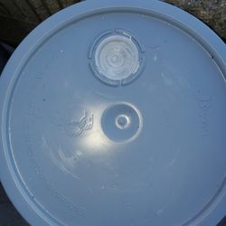 Pintura Nueva Blanca