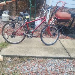 26" Wild Citi Diamondback