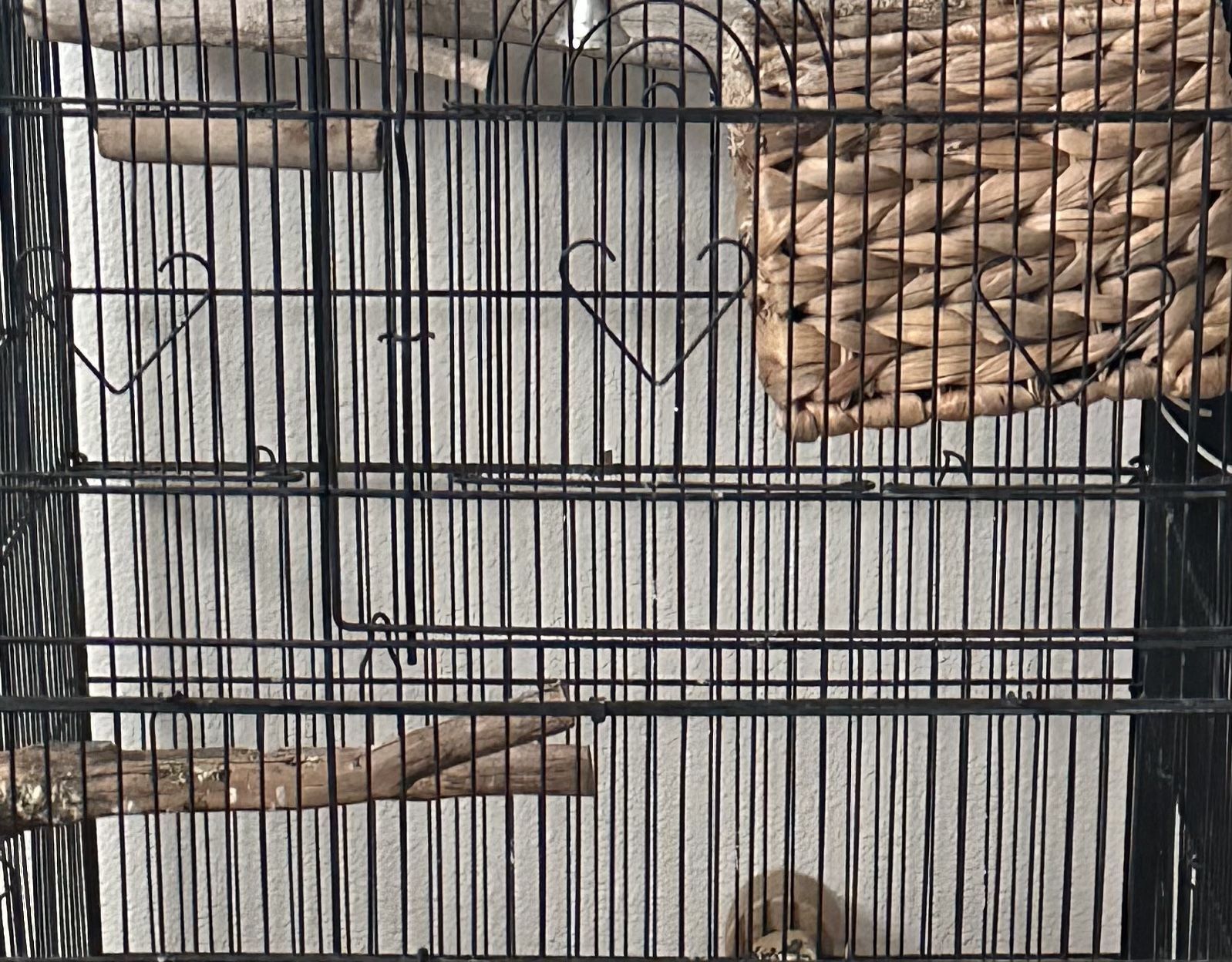 Cage For Sale 