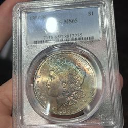 M65 Morgan 1880-O Toning 