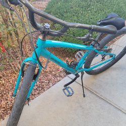 Specialized Bike ($45)