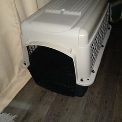 Dog Kennel