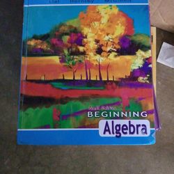 Beginning Algebra