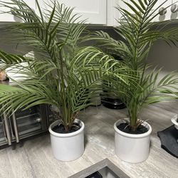  Fake Indoor Plants 