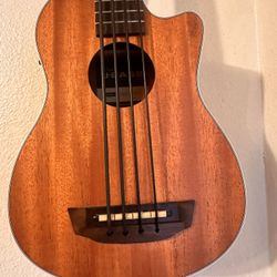  Kala UBASS-SCOUT-FS 2013 - Satin