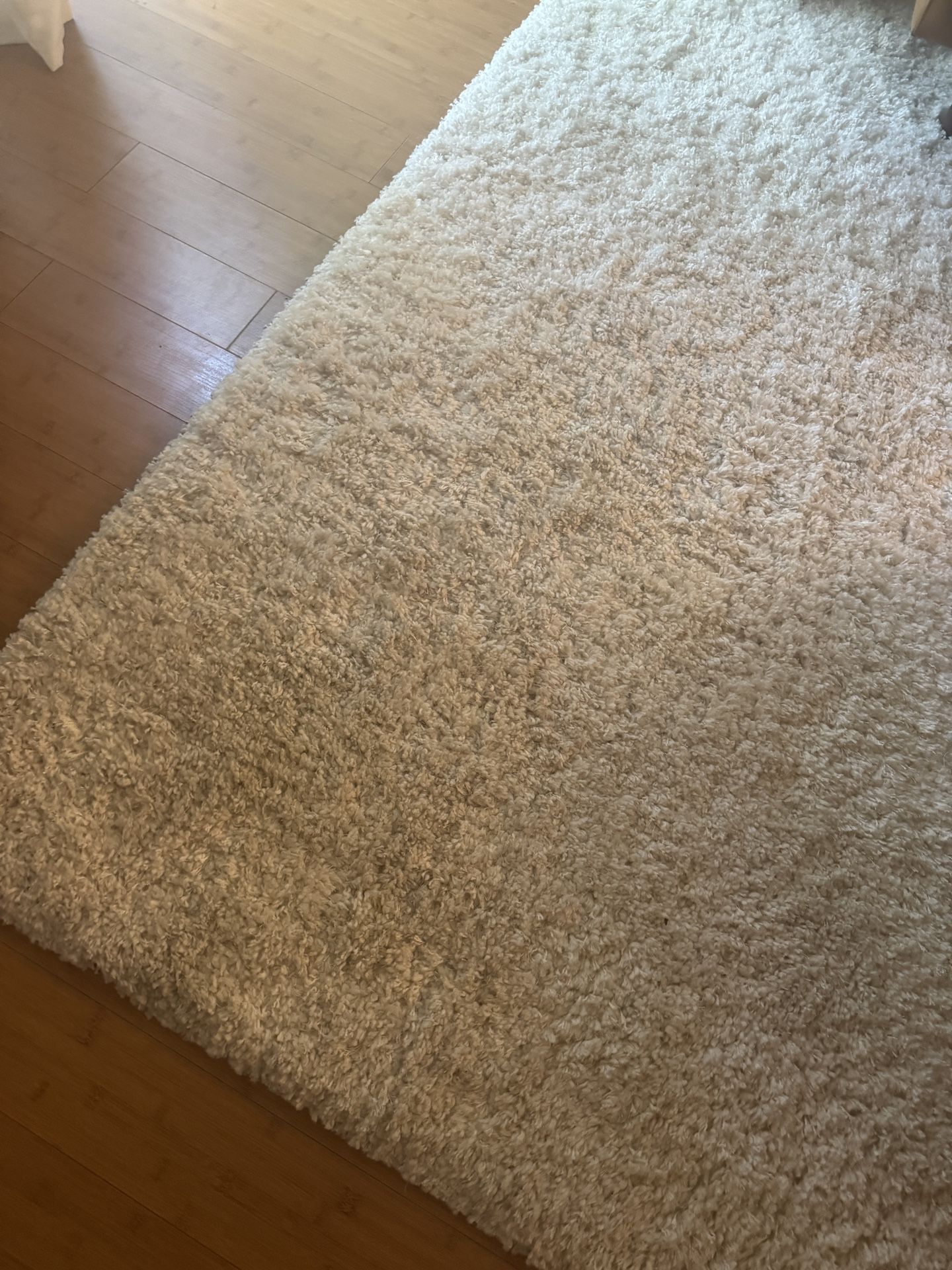 Cream Shag Rug 7x10