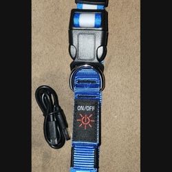 Medium Dog Collar With Light 