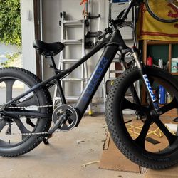 Fast E-bike  TREK 
